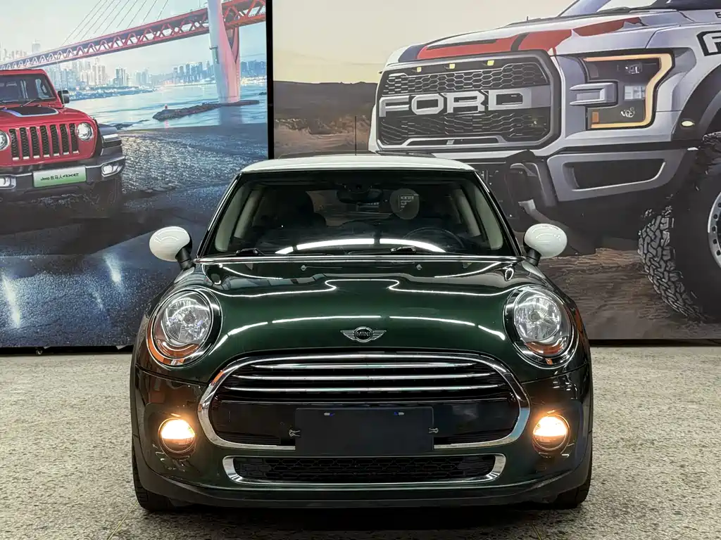 MINI MINI 2015