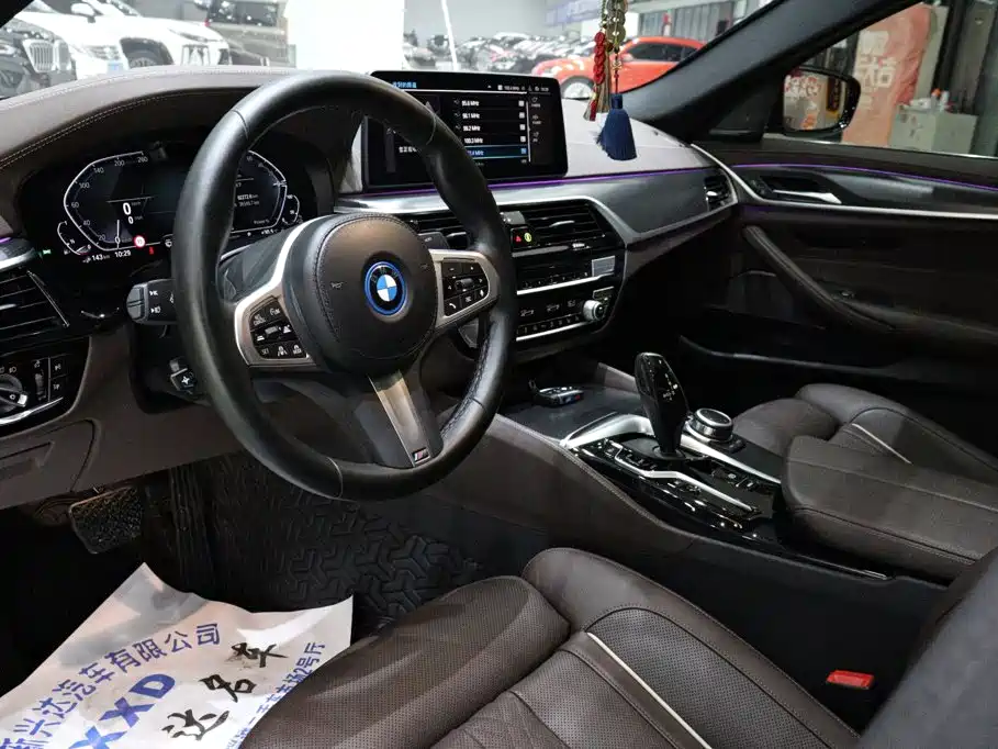 BMW 5 Series New Energy 2022