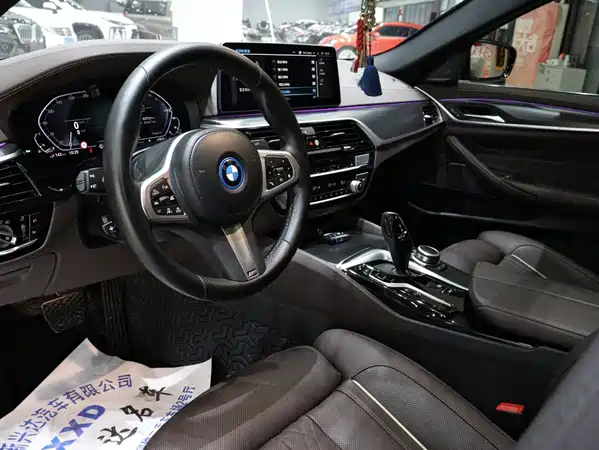 BMW 5 Series New Energy 2022