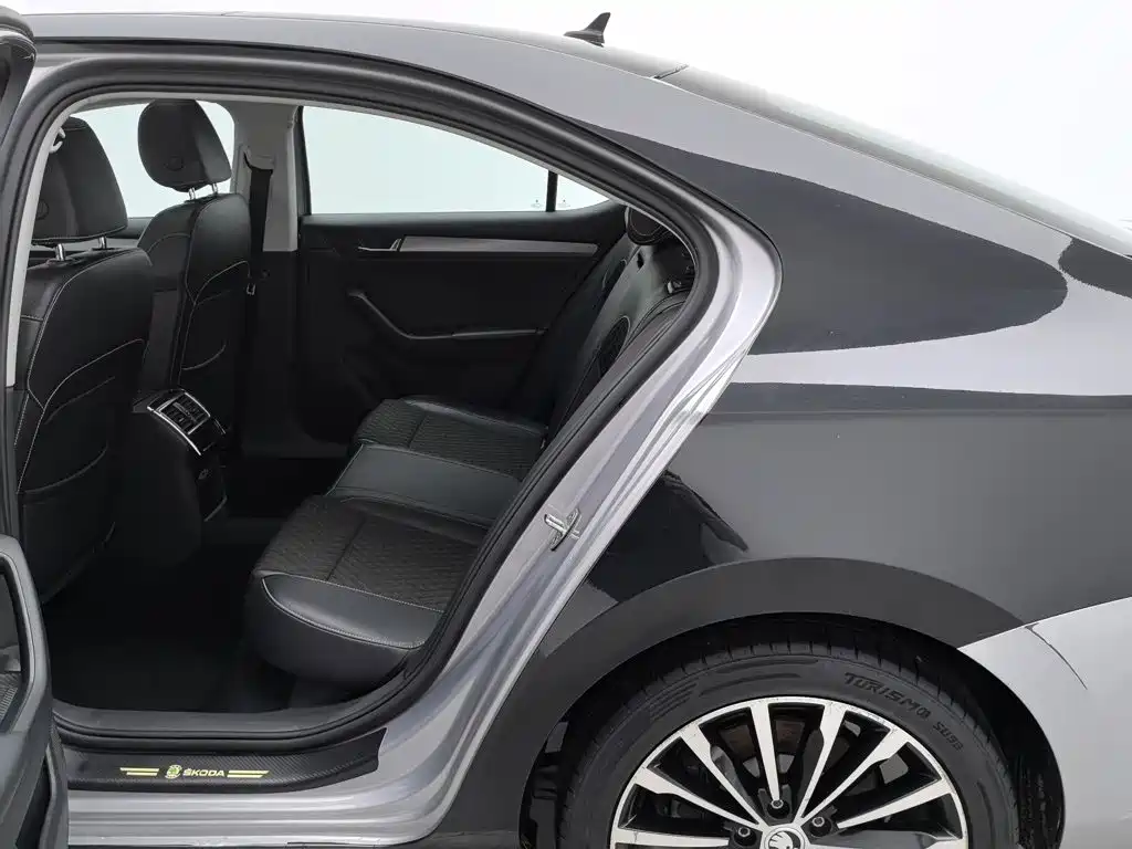 Skoda Speedy 2019 — фото 15
