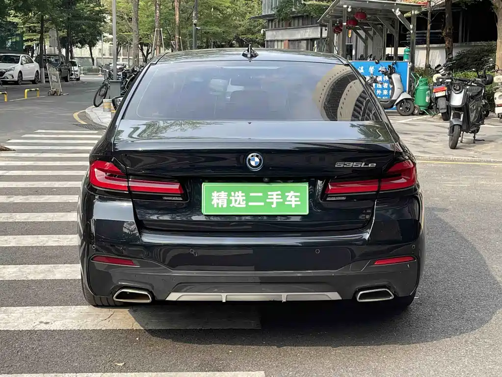 BMW 5 Series New Energy 2021