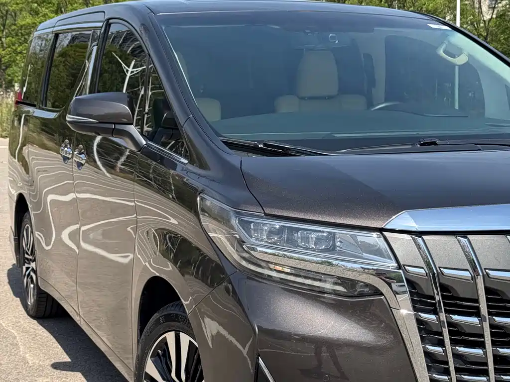 Toyota Alphard 2019 — фото 21