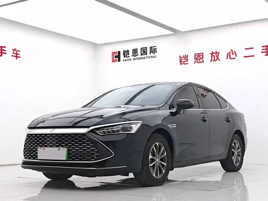 BYD Qin PLUS 2024 — фото 1