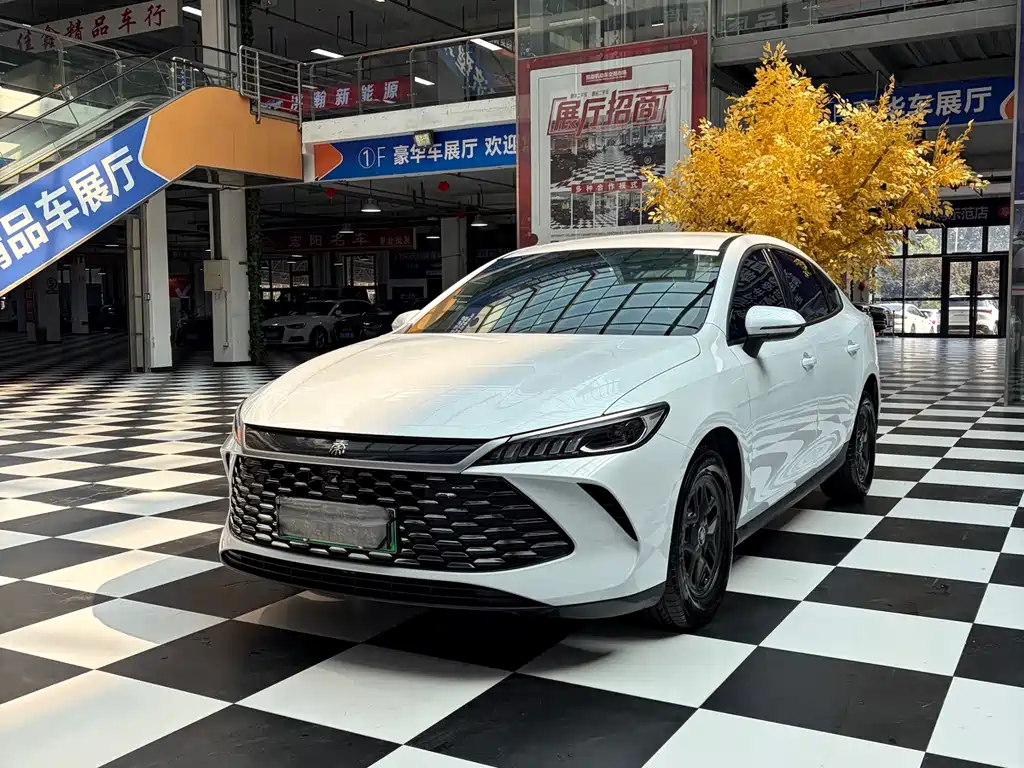 BYD Qin PLUS 2025 — фото 1