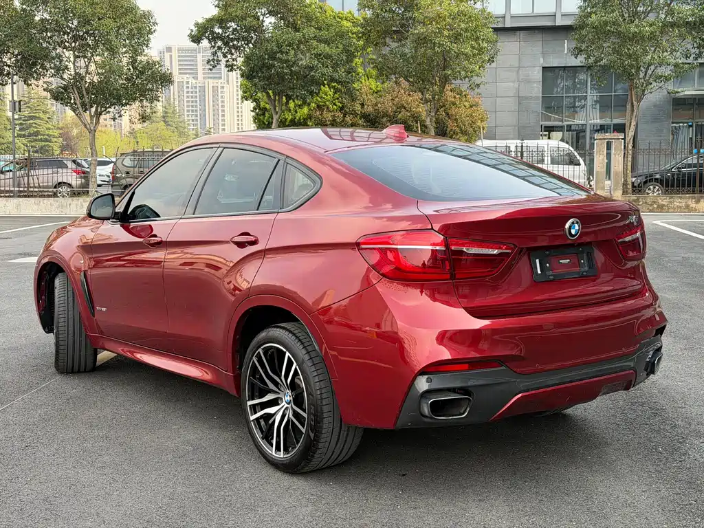 BMW X6 2019 — фото 13