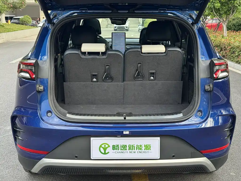 BYD Tang New Energy 2022 — фото 18