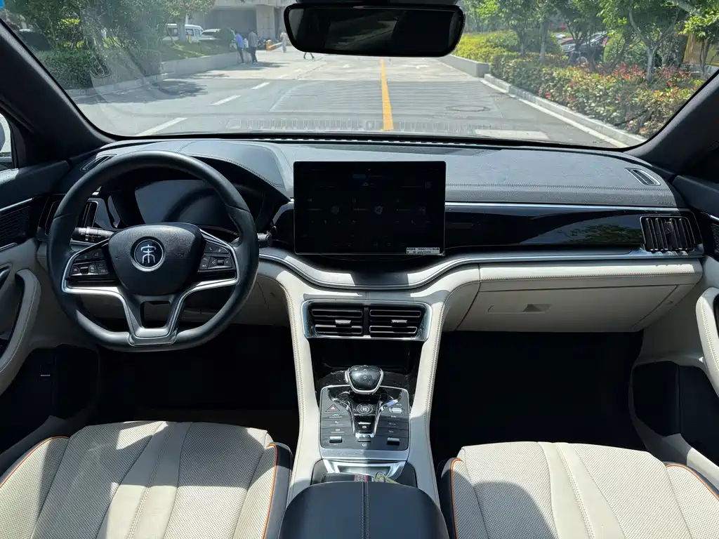 BYD PLUS New Energy 2023 — фото 15