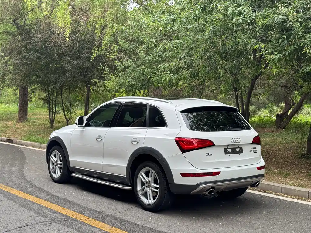 Audi Q5 2018 — фото 17