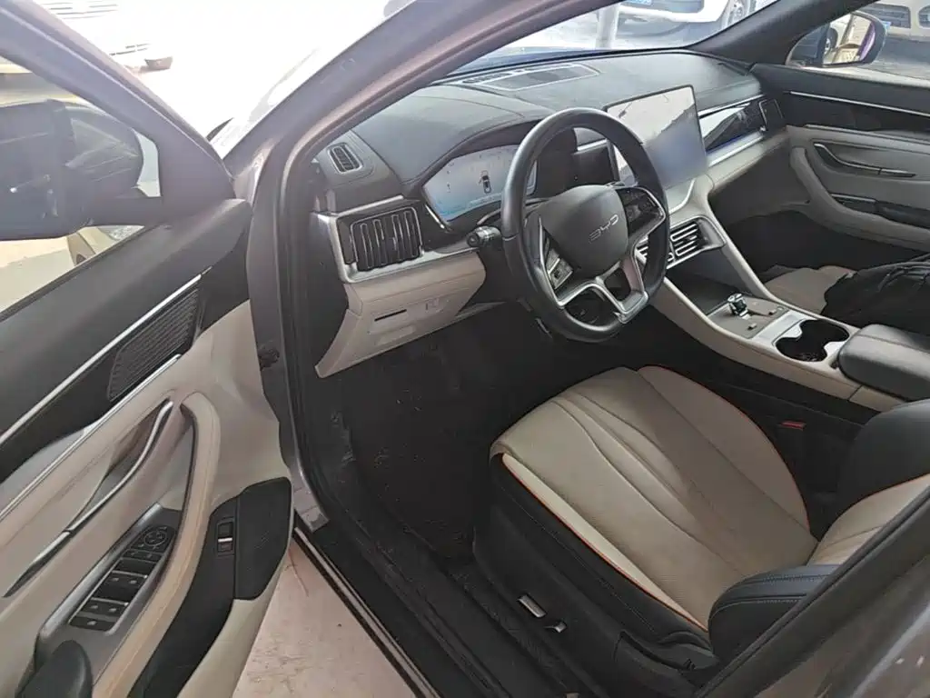 BYD Song PLUS New Energy 2023 — фото 16