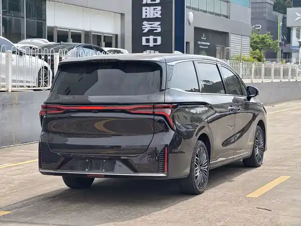 Dongfeng Forthing Xinghai V9 2024