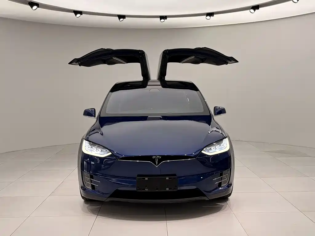 Tesla Model X 2018 — фото 2