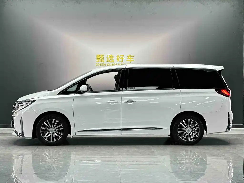 GAC Motor Trumpchi M8 2021 — фото 3