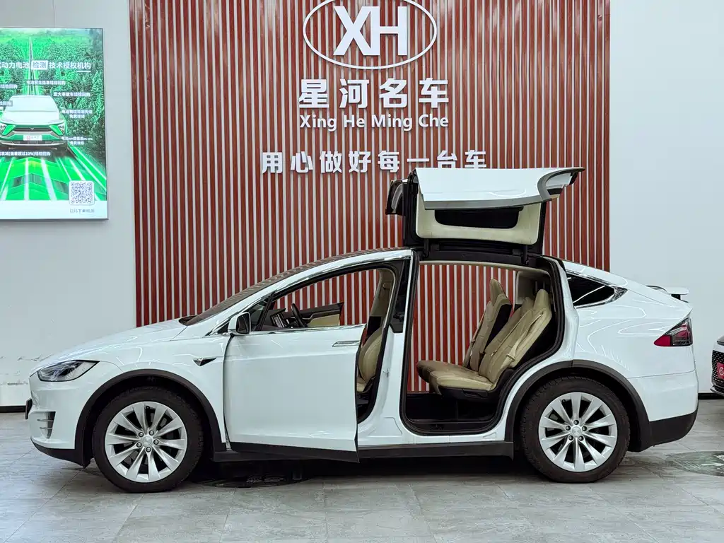 Tesla Model X 2017 — фото 11