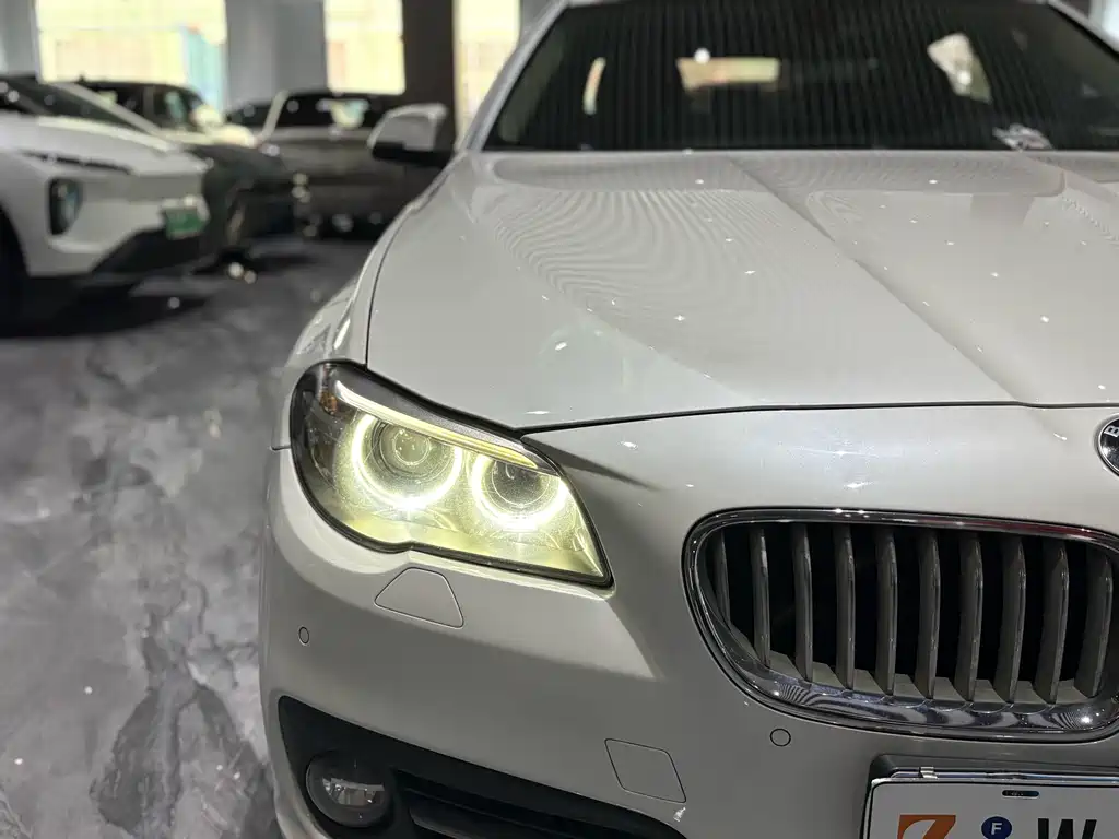 BMW 5 Series 2016 — фото 25
