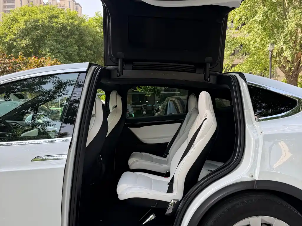 Tesla Model X 2017 — фото 20