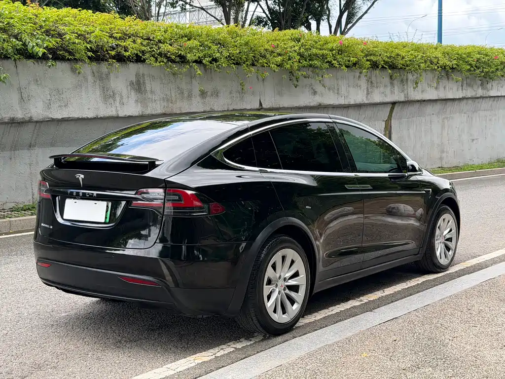 Tesla Model X 2019 — фото 9
