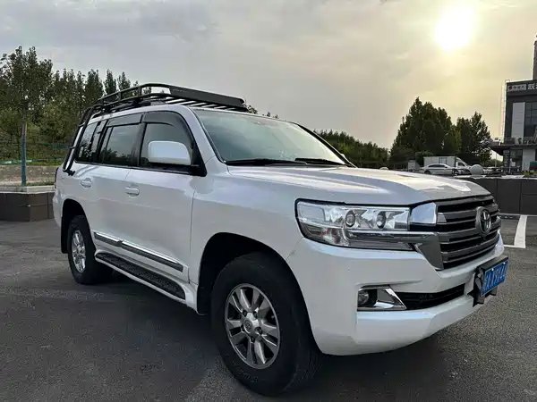 Toyota Land Cruiser 2010
