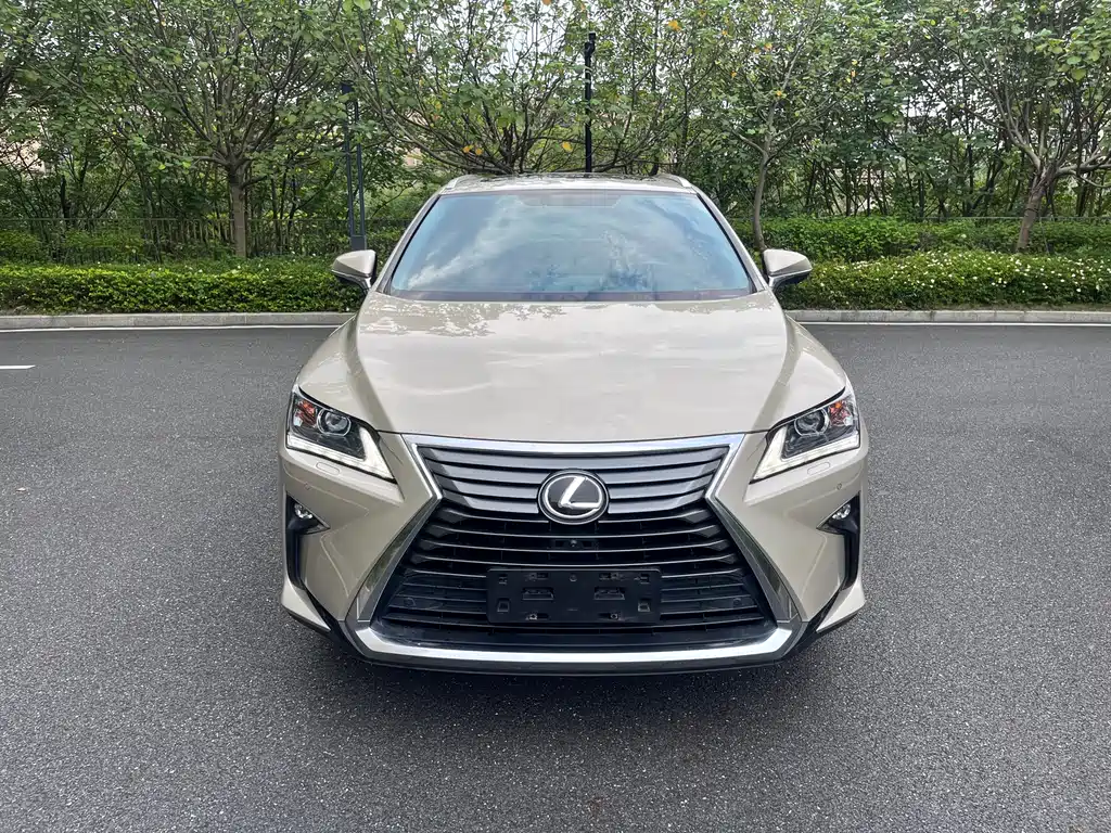 Lexus RX 2017 — фото 2