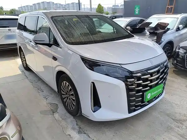 BYD Summer 2025