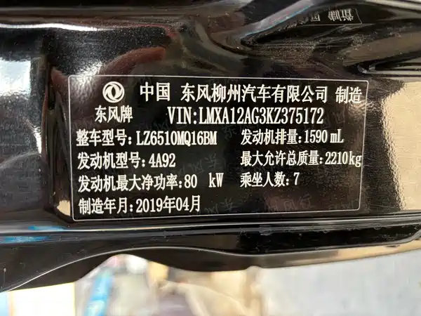 Dongfeng Lingzhi 2019
