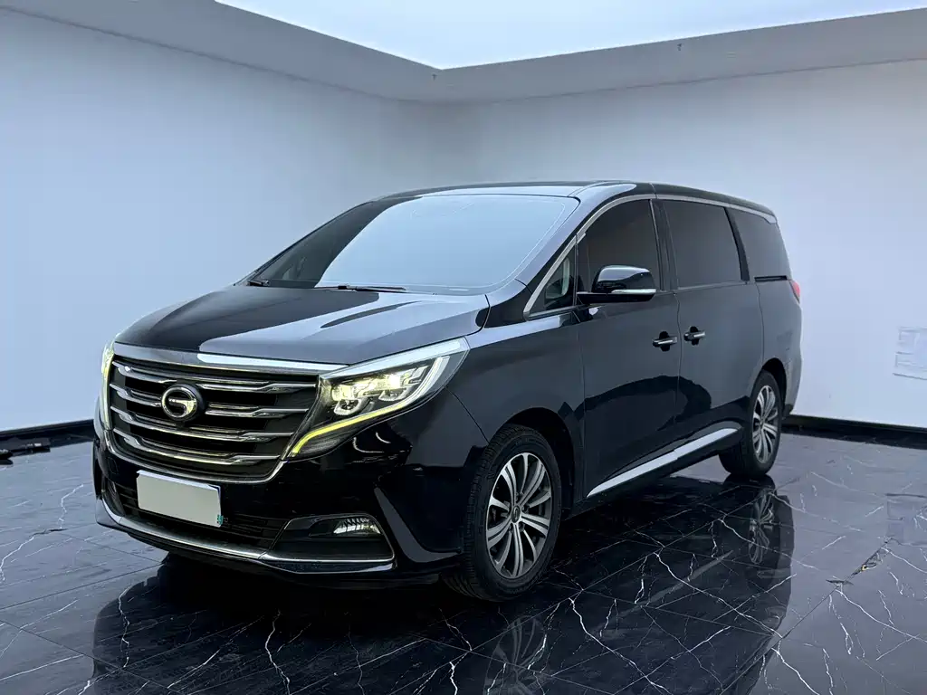 GAC Trumpchi M8 2019 — фото 1