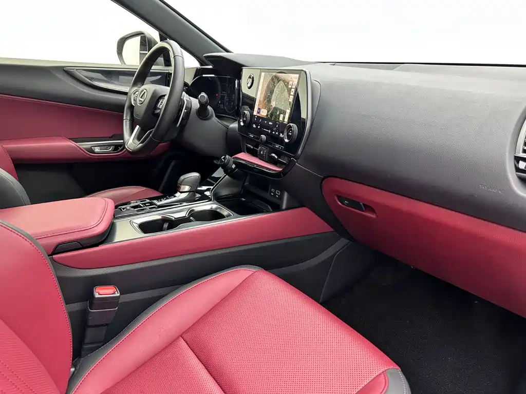 Lexus NX 2024 — фото 16