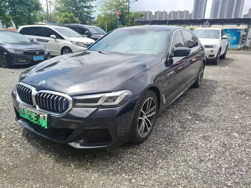 BMW 5 Series New Energy 2022
