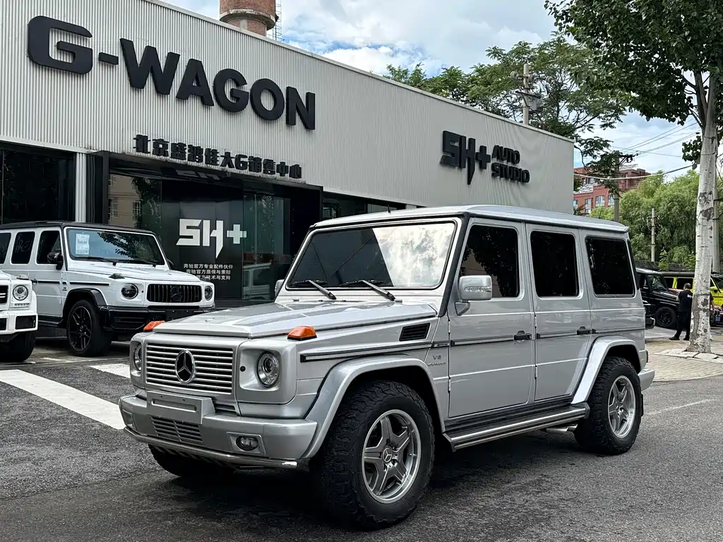 Mercedes-Benz G-Class AMG 2010 — фото 1