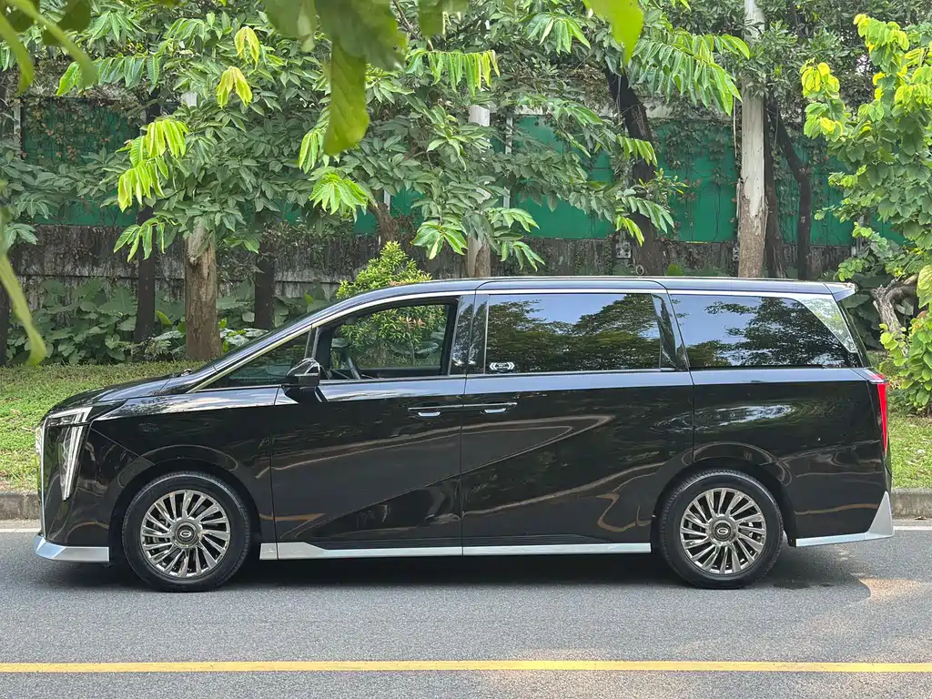 GAC Motor Trumpchi M8 2023 — фото 8