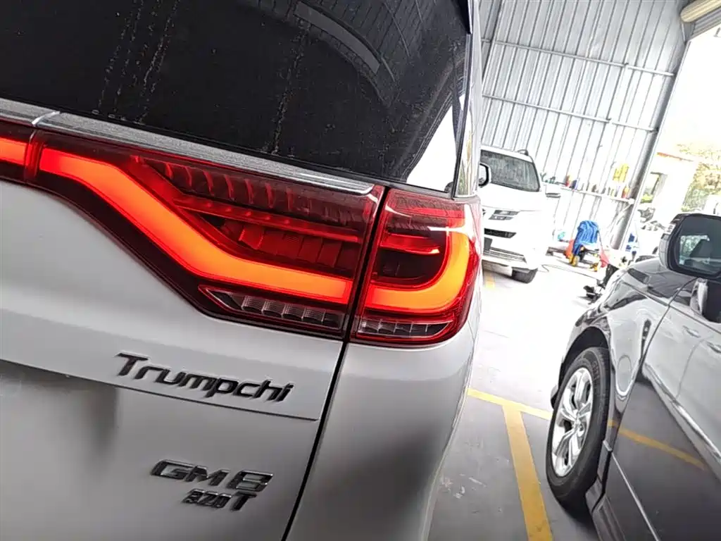 GAC Motor Trumpchi M8 2018 — фото 8