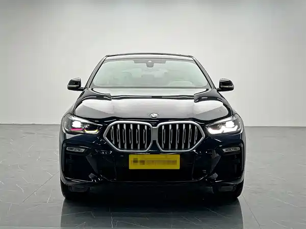 BMW X6 2021