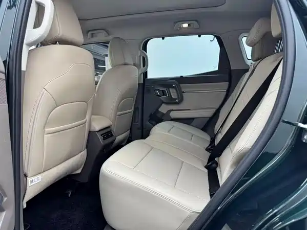 Haval Big Dog PLUS New Energy 2025