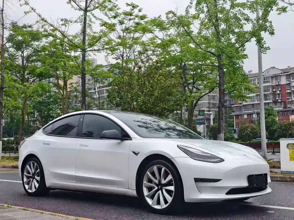 Tesla Model 3 2020 — фото 3