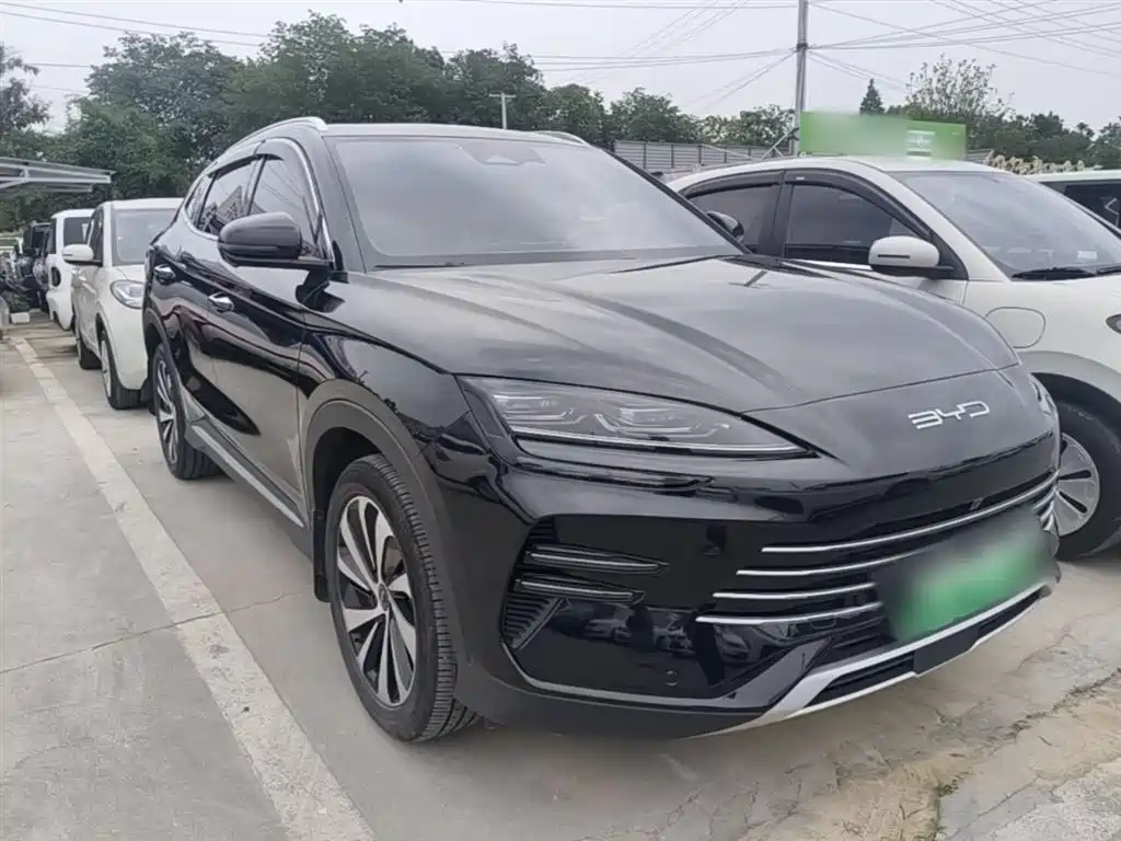 BYD PLUS New Energy 2024 — фото 4