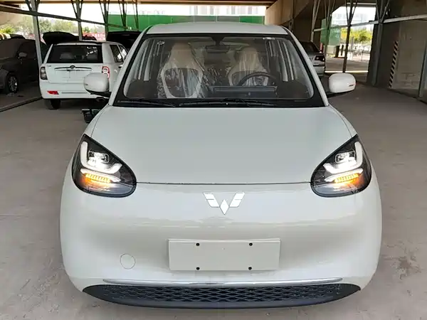Wuling Bingo 2024
