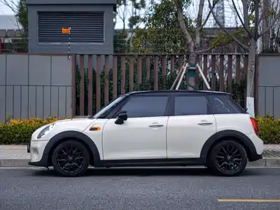 MINI MINI 2018