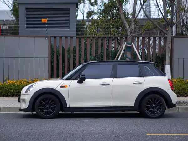 MINI MINI 2018