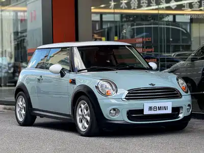 MINI MINI 2013