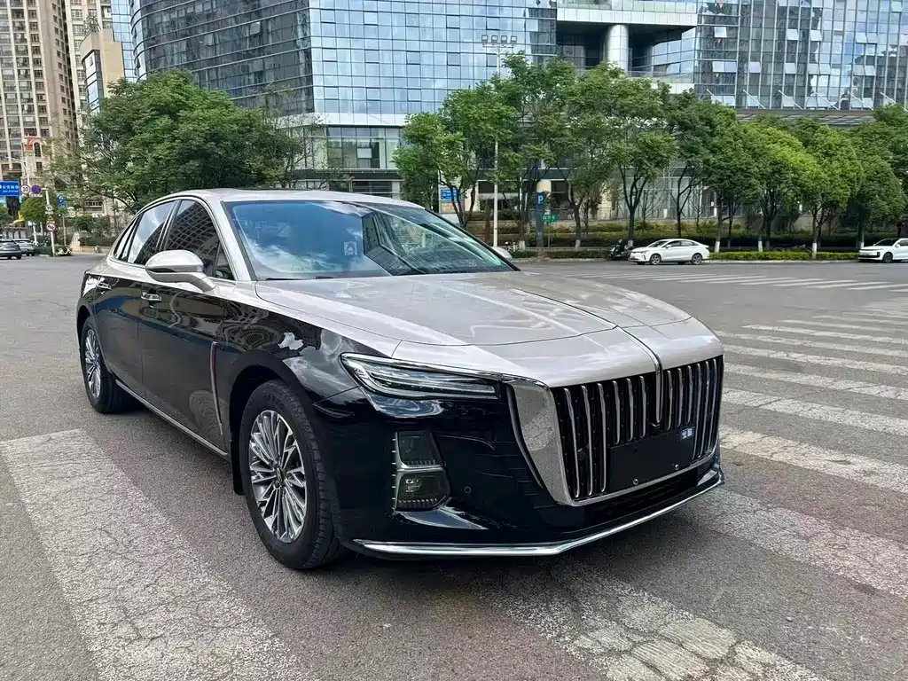Hongqi H5 2023 — фото 3