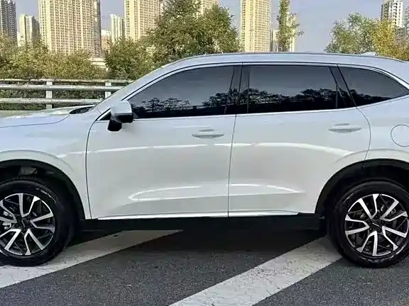 Haval H6 2023 — фото 10