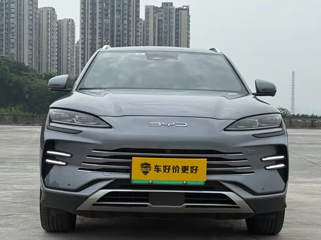 BYD PLUS New Energy 2023 — фото 2