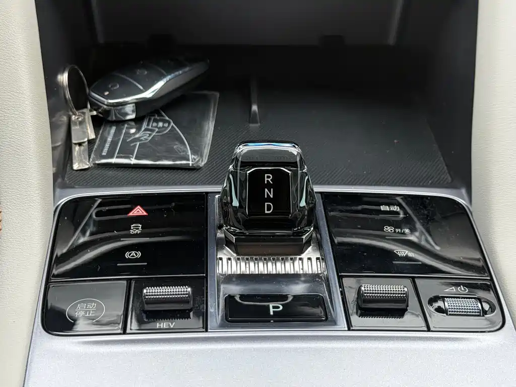BYD PLUS New Energy 2023 — фото 10