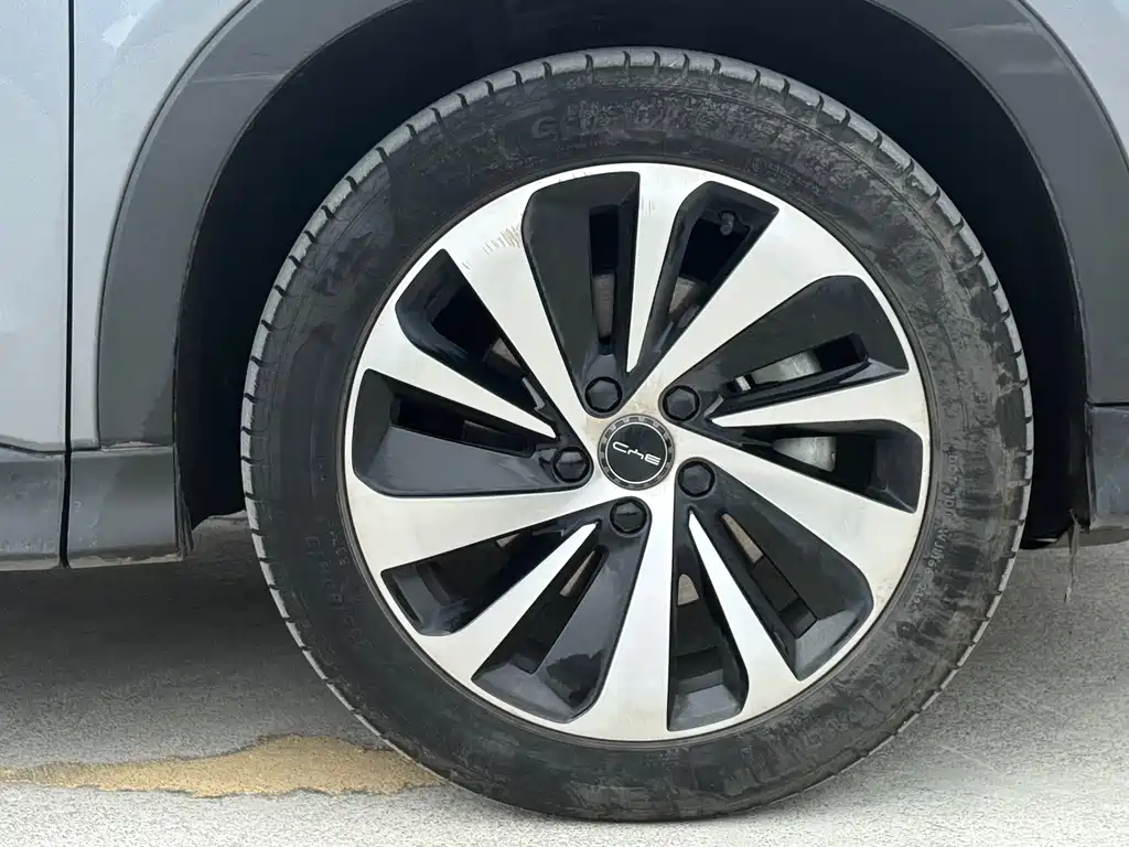 BYD PLUS New Energy 2023 — фото 4