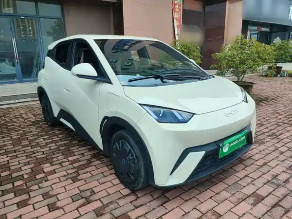 BYD Seagull 2024