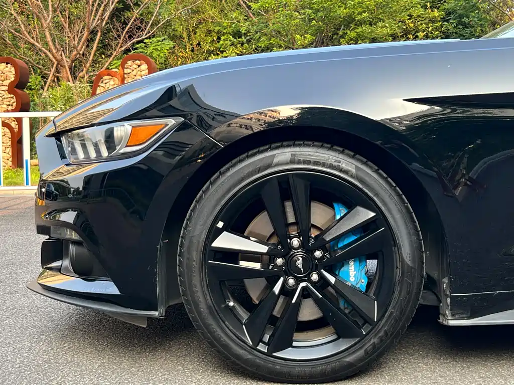 Ford Mustang 2018 — фото 17