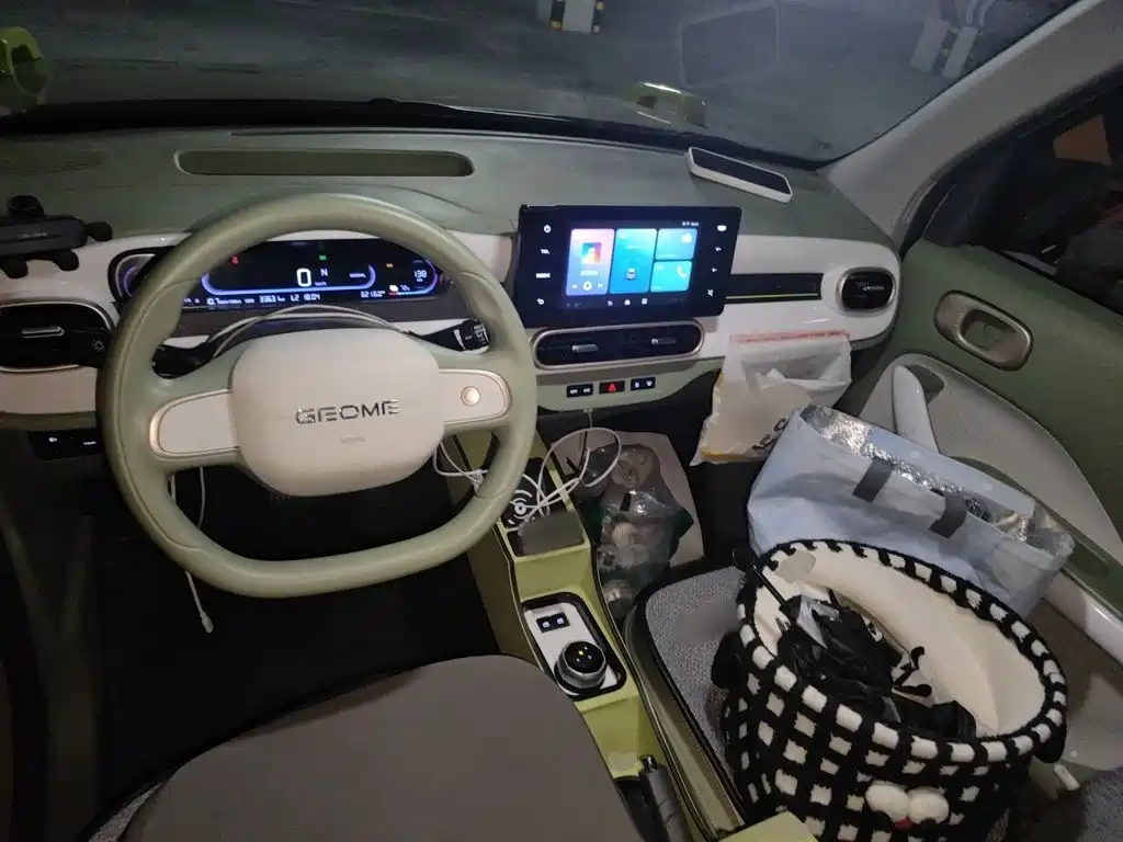 Geely Galaxy Panda 2024 — фото 10