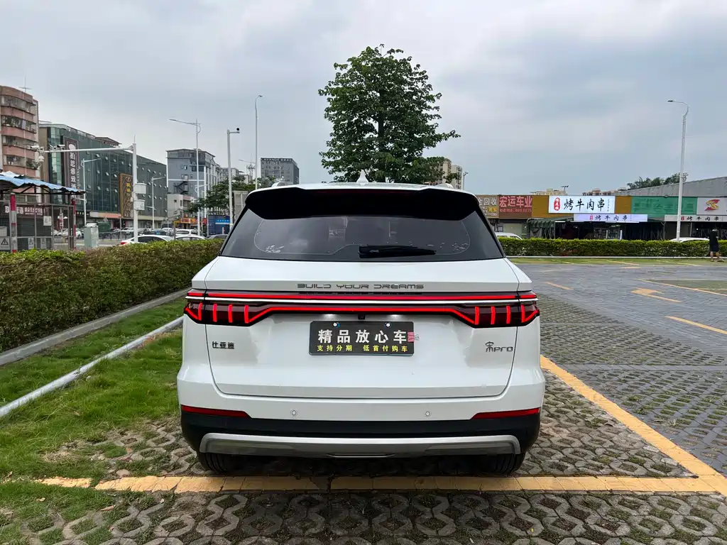 BYD Pro 2020 — фото 10