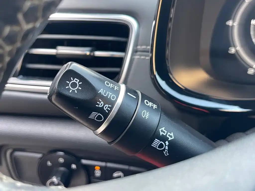 GAC Trumpchi GS8 2020 — фото 14