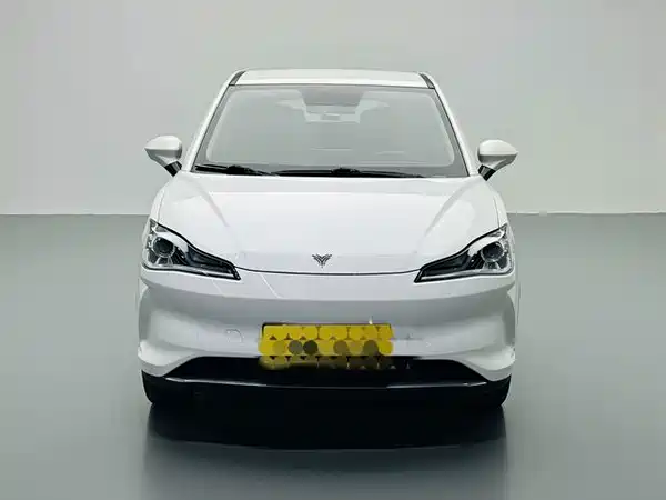 Neta V 2022