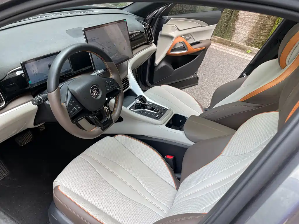 BYD Pro New Energy 2023 — фото 11